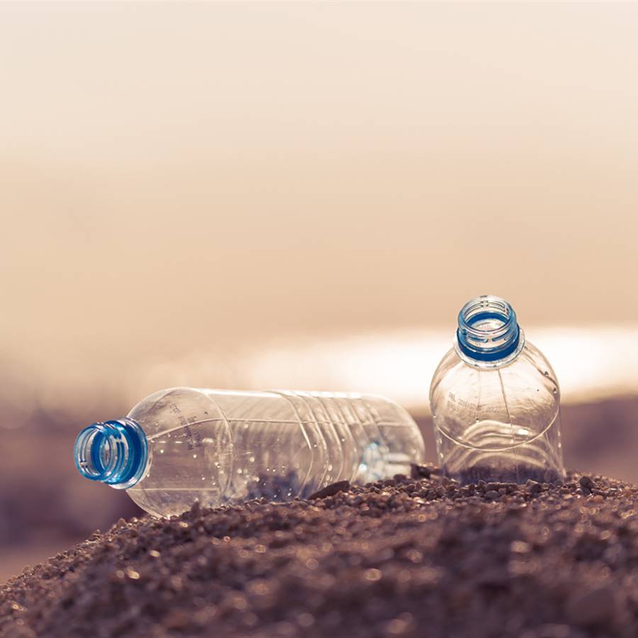 Dia mundial salud ambiental