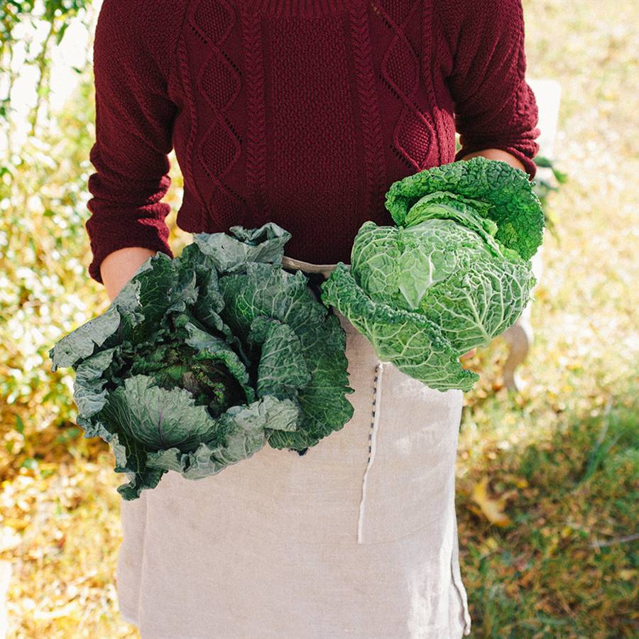 5 nutrientes que cuidar en la dieta vegana