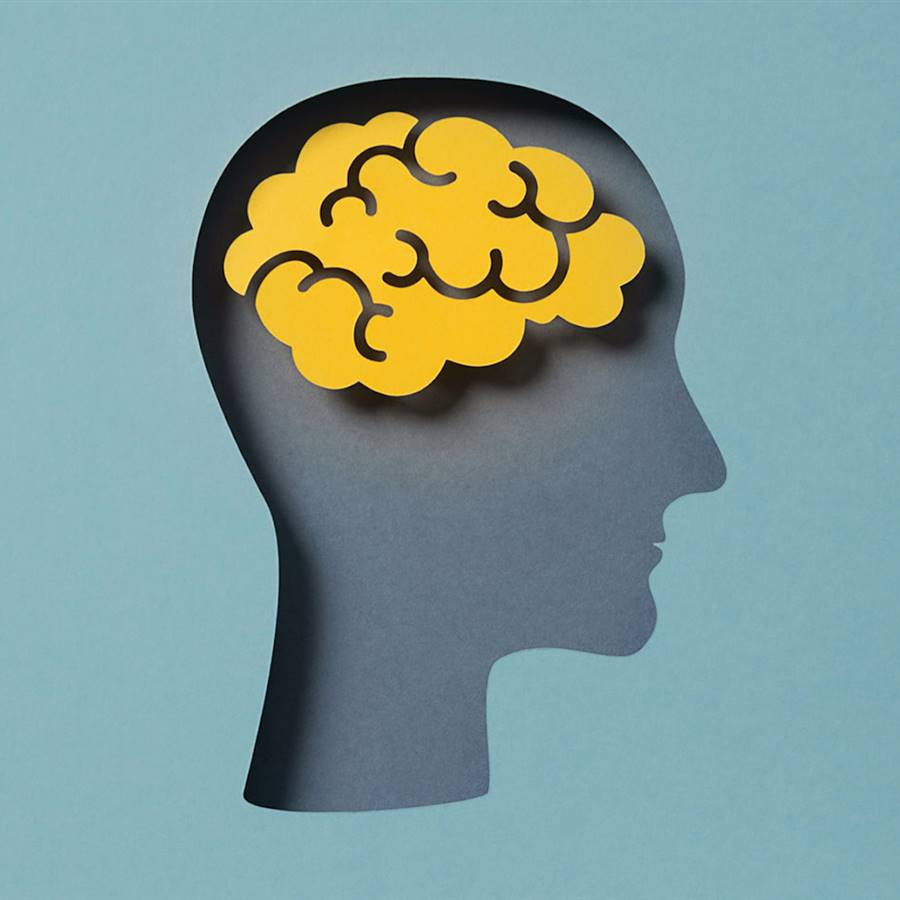 ¿Es (de verdad) distinto el cerebro de hombres y mujeres?
