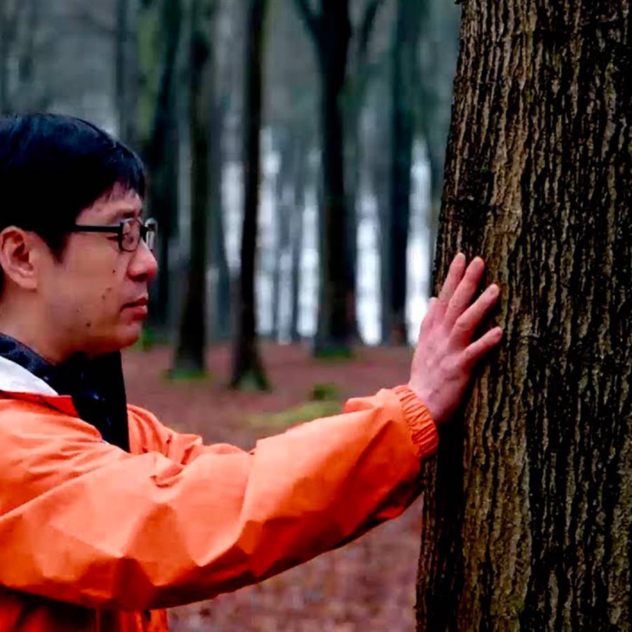 Dr Qing Li Baños Bosque