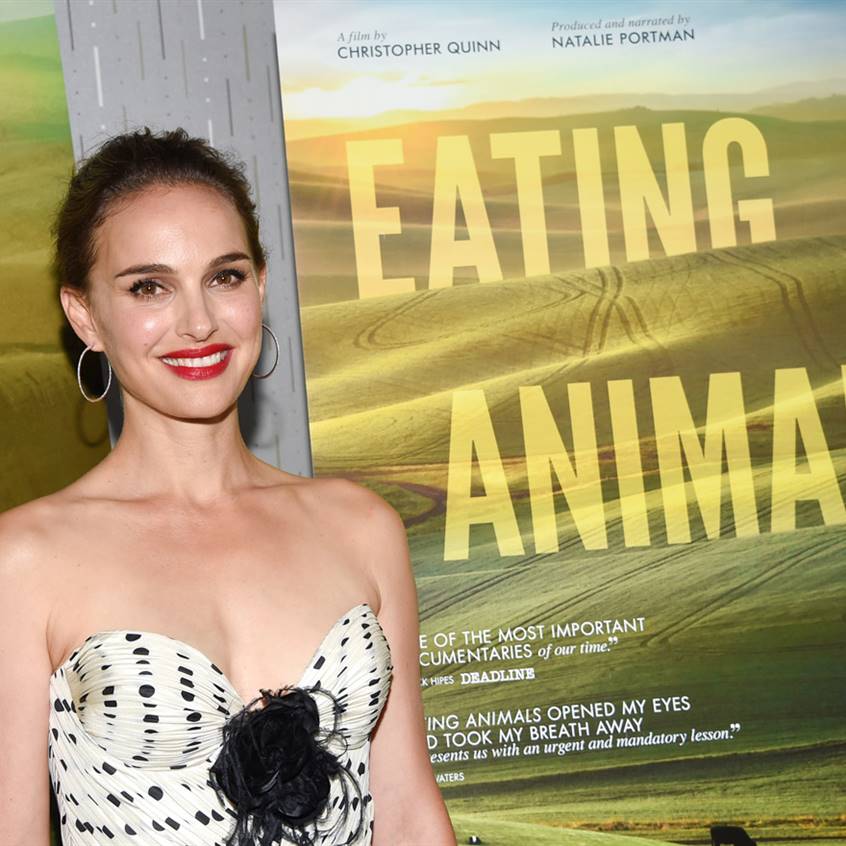 Eating Animals