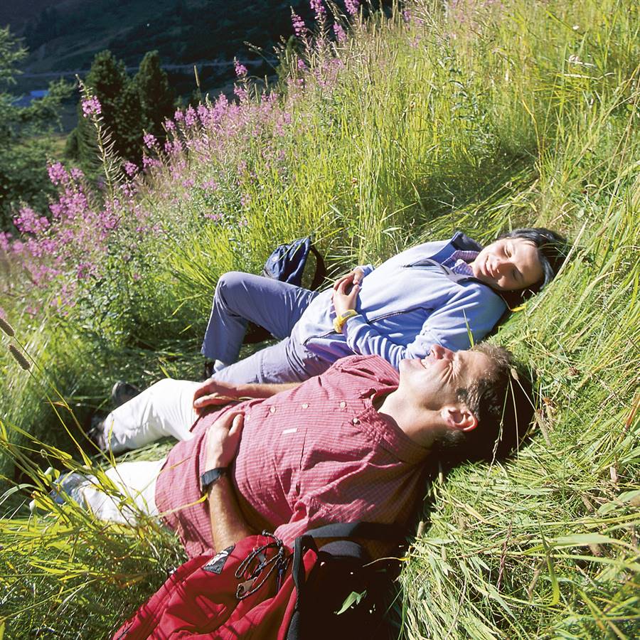 3 ejercicios en pareja para sentir el cuerpo en la naturaleza