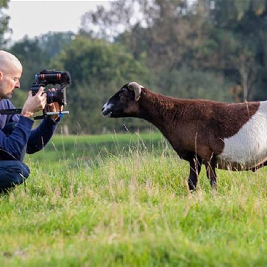 Ya puedes ver el documental The End of Meat (el final de la carne)