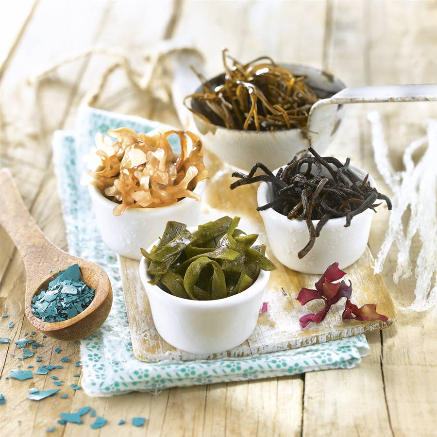 Algas en la cocina: el tesoro del fondo del mar