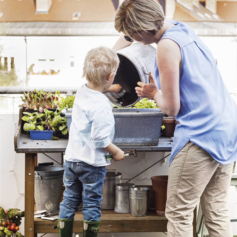 11 frutas y hortalizas que puedes plantar en tu balcón o terraza