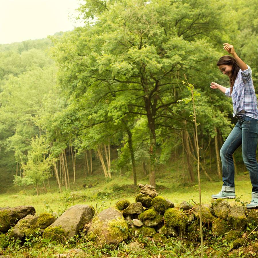 Equilibrio Bosque