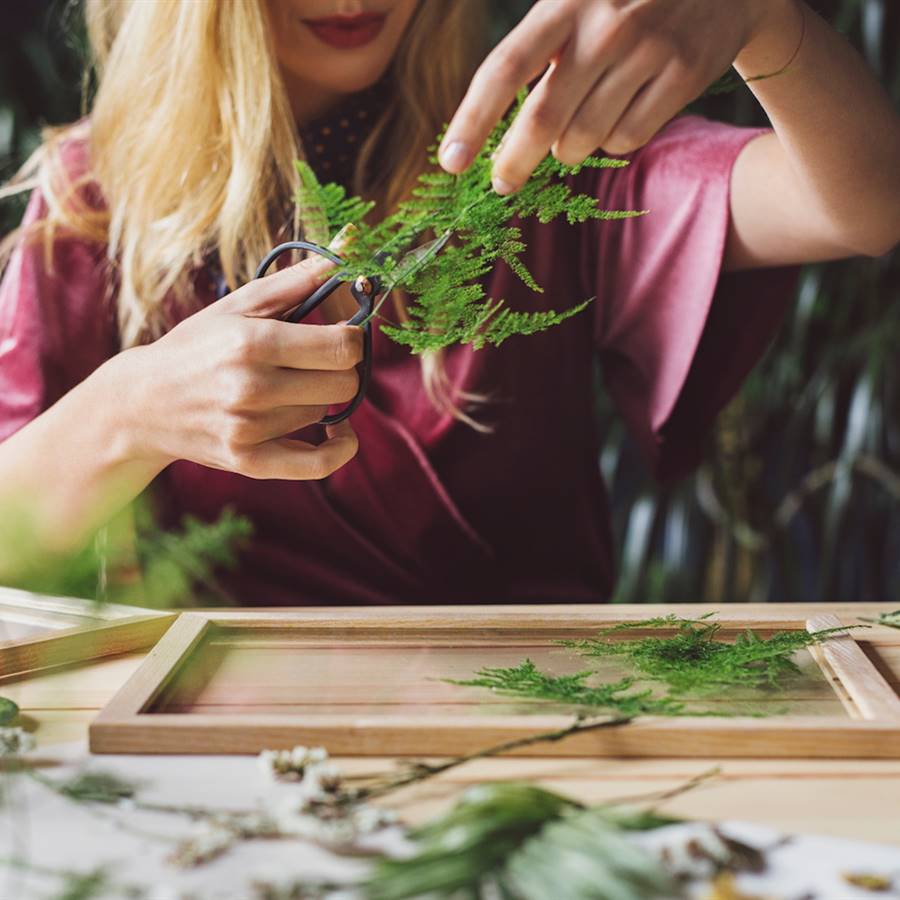 Hay vida más allá del amor: recupera tus pasiones y cultiva la amistad