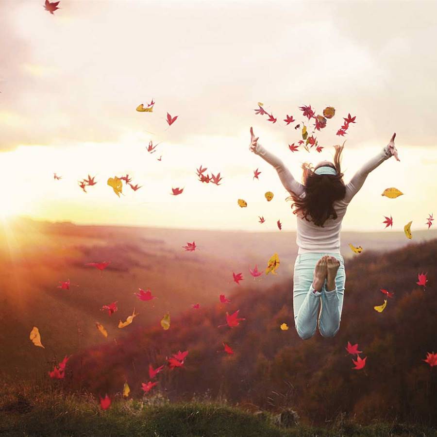 15 estrategias sabias para acercarte a la felicidad