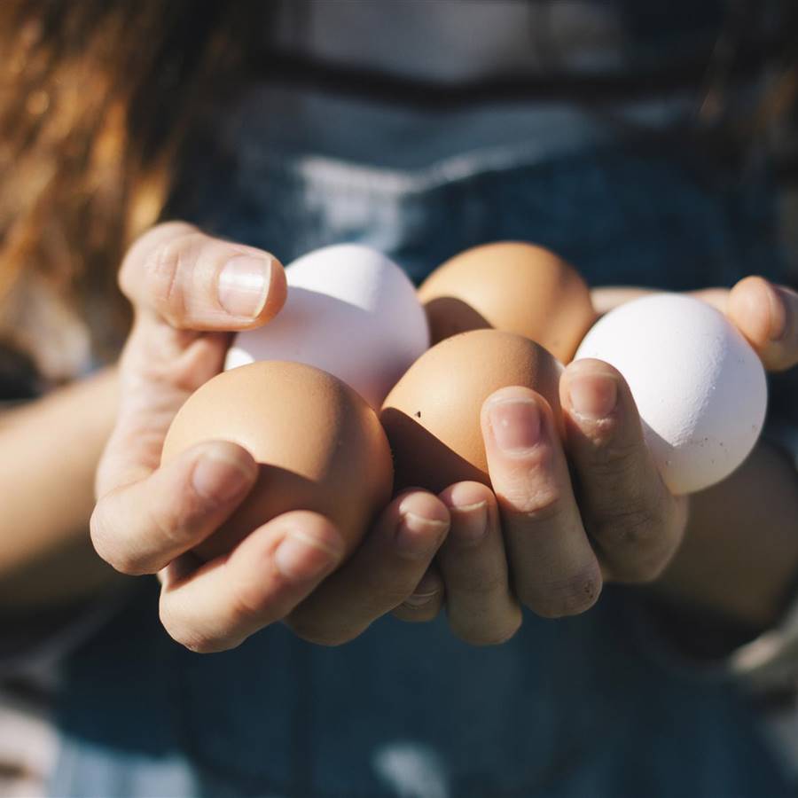 Francia prohibe huevos