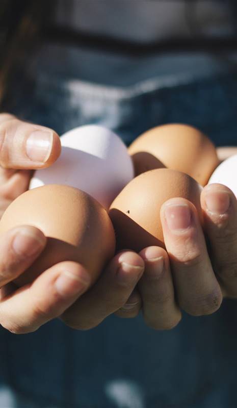 Francia prohibe huevos