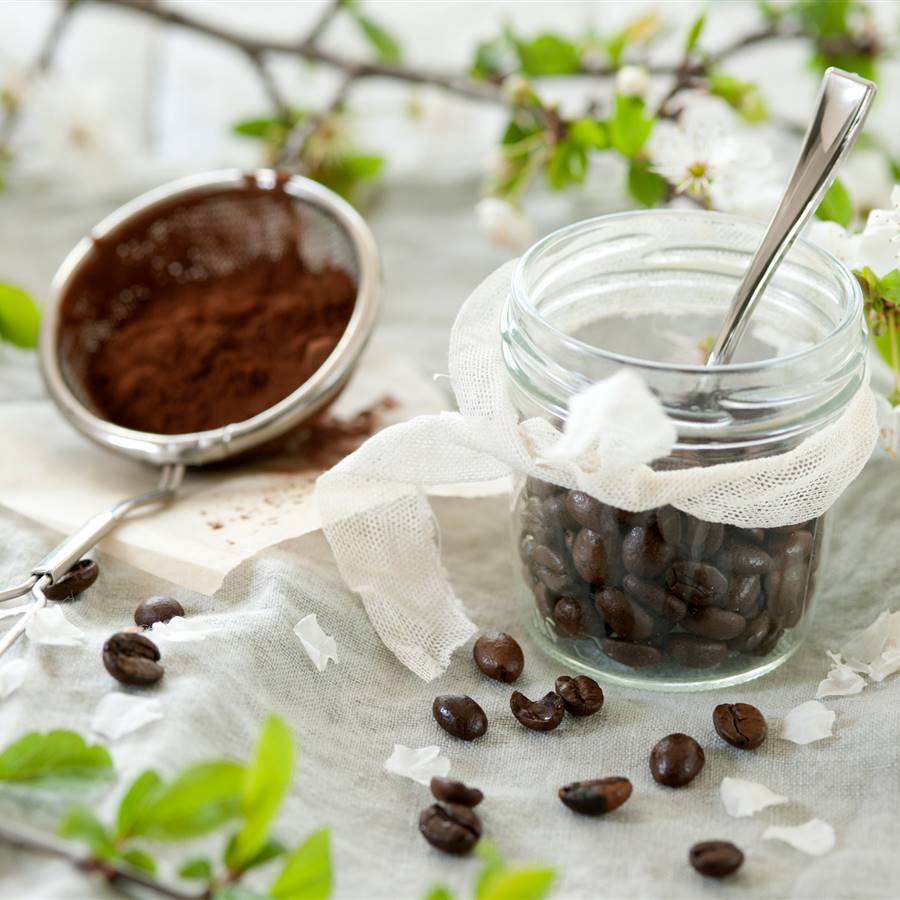 Granos de Café