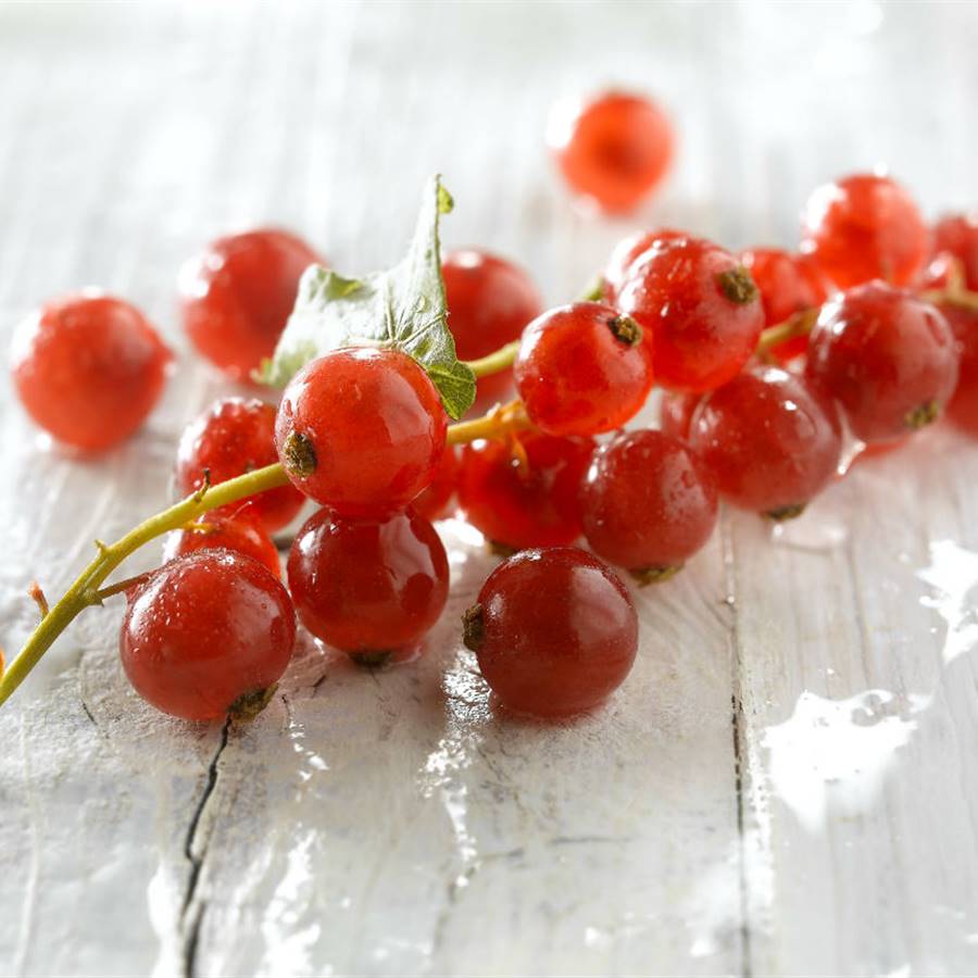 7 frutos rojos llenos de antioxidantes