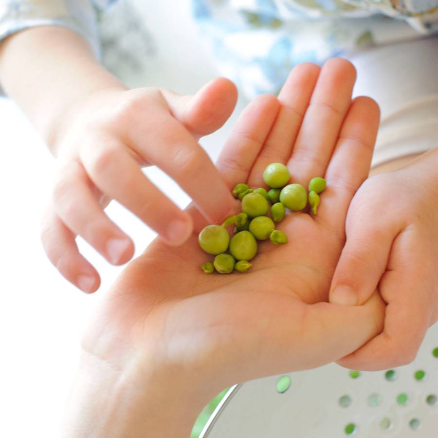 Falsa alarma: las lectinas de legumbres y cereales no tienen la culpa de todo