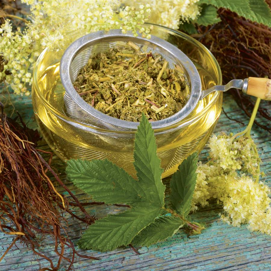 Quema grasa con estas 4 superinfusiones