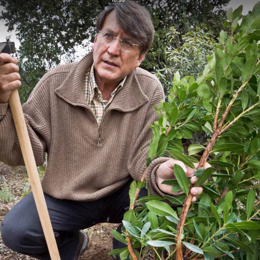 Joaquin-Araujo