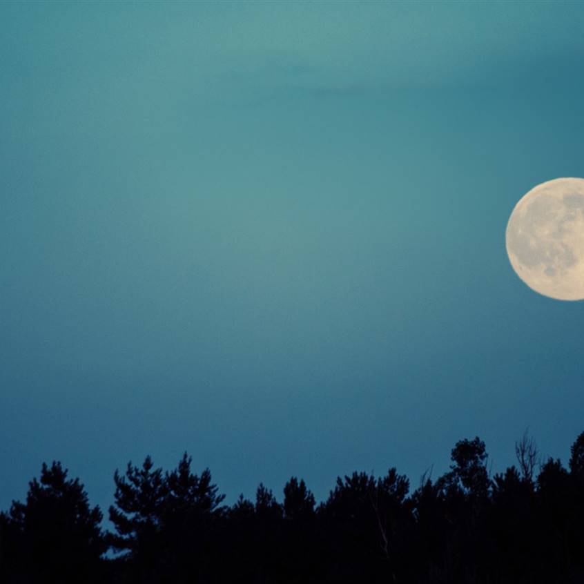 NASA brinda detalles de la Luna azul que se observará próximamente