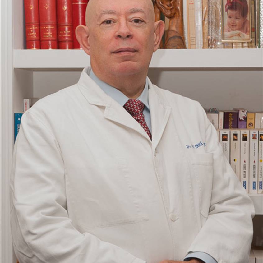 Marco F Payá