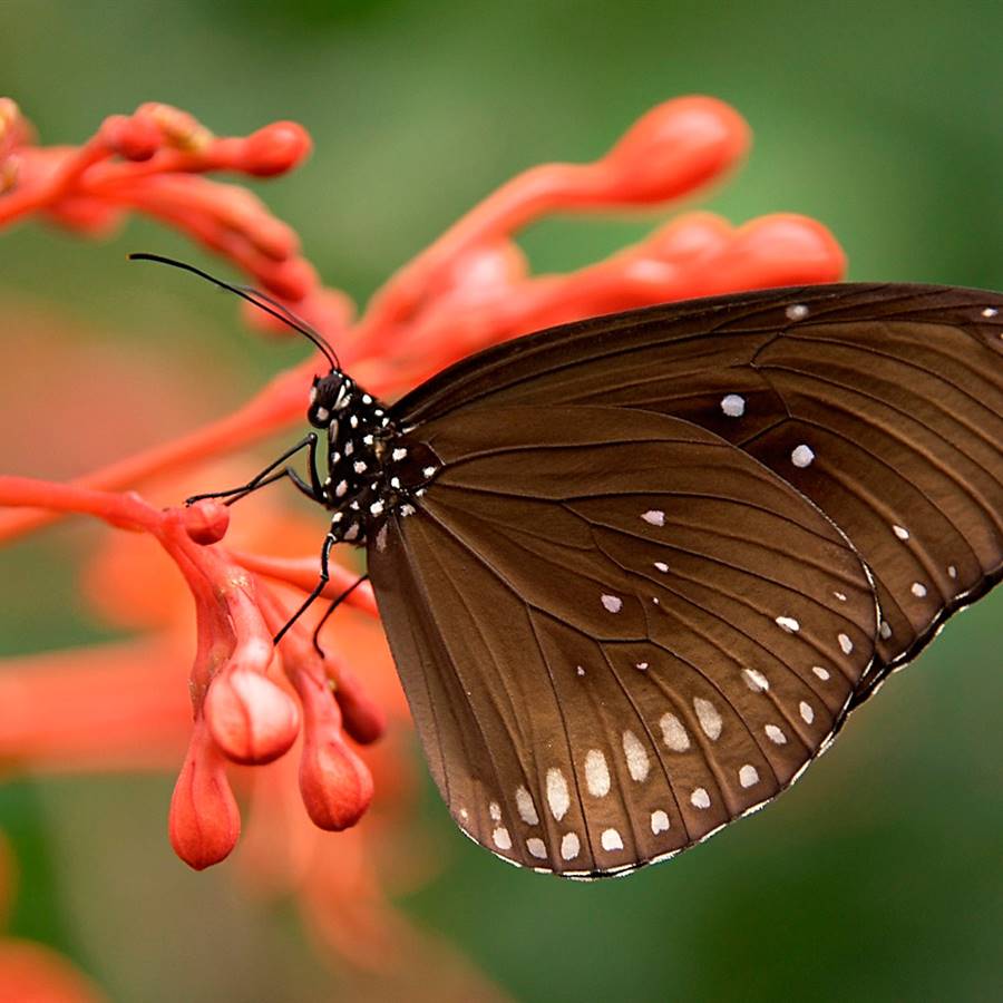 48 medidas para salvar la vida en el planeta Tierra