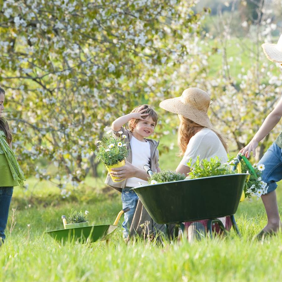 Medicina natural para 6 problemas infantiles comunes