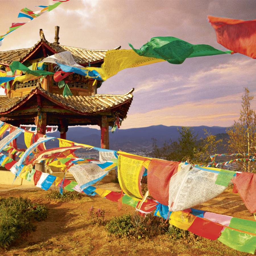 MTT: la medicina holística que llega del Tíbet