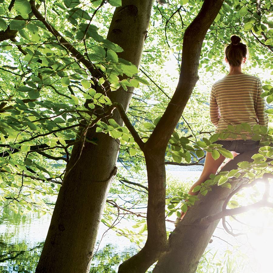 Meditar sana y nos cambia: anímate a probarlo