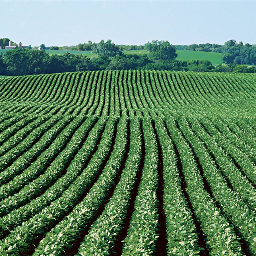 "Los beneficios de la agricultura ecológica son evidentes" 