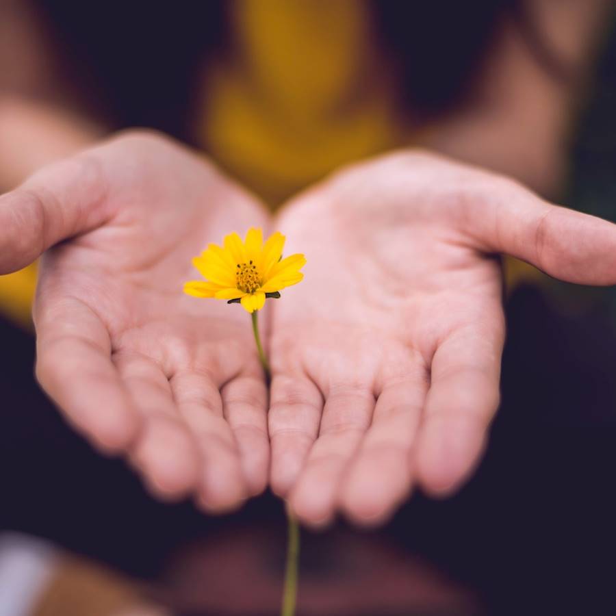 motivos para aprender perdonar beneficios