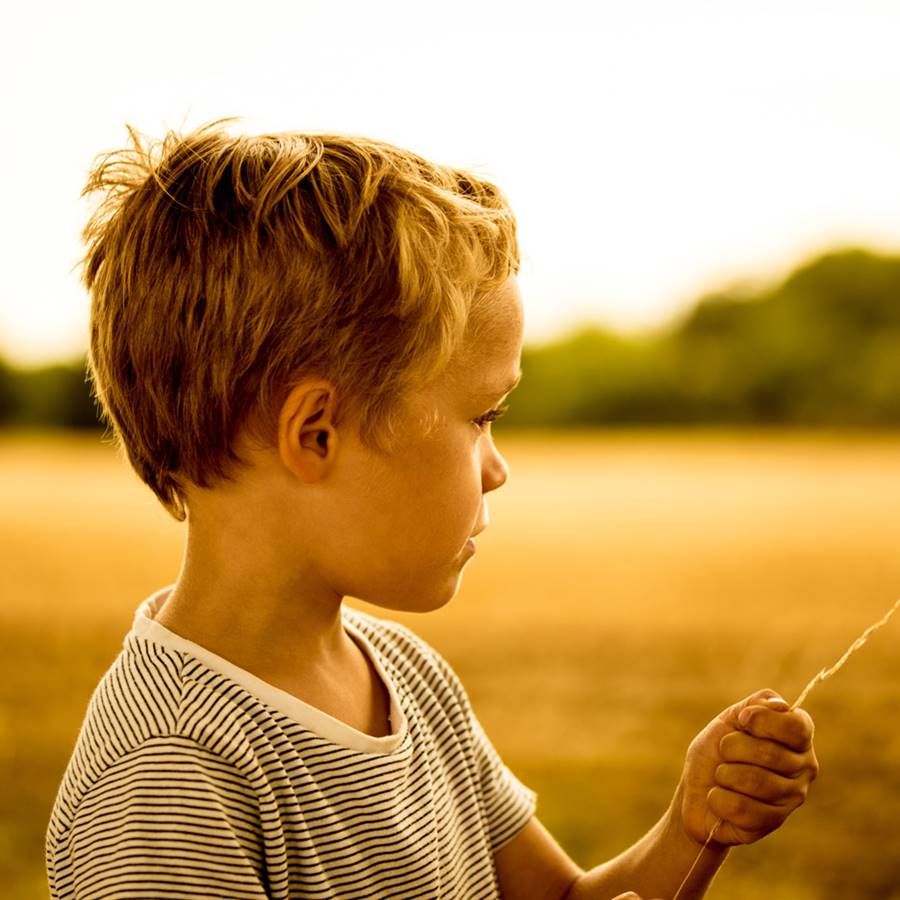 El tratamiento del autismo con probióticos está más cerca