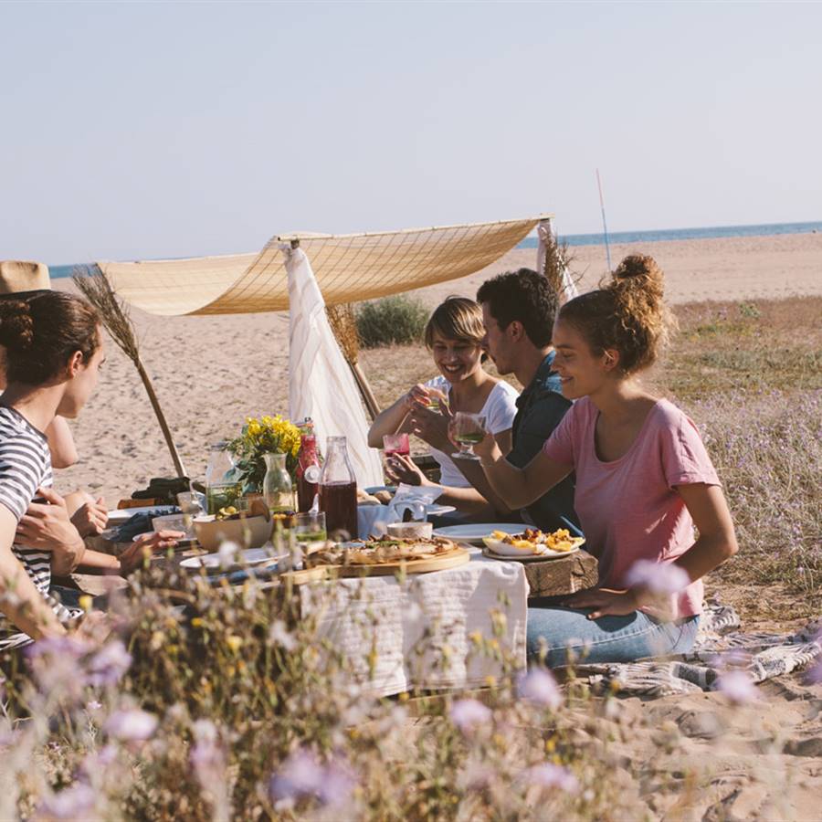 organizar picnic vegano