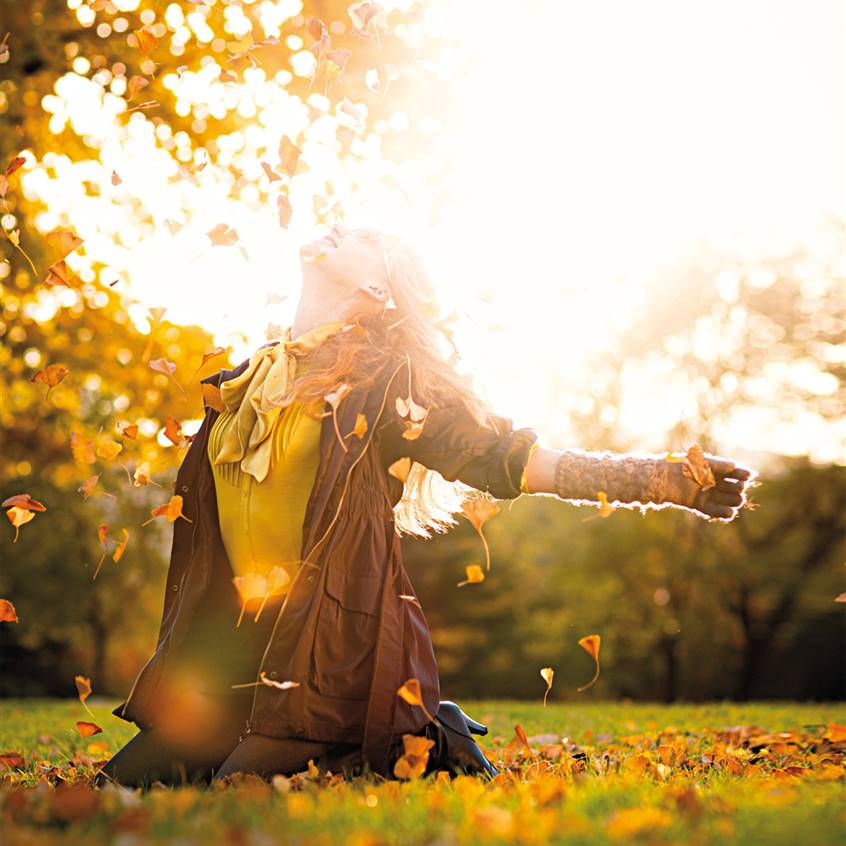El otoño nos invita a la reflexión y al desapego El otoño nos invita a la reflexión y al desapego