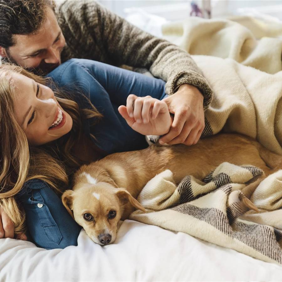 El verdadero origen del amor