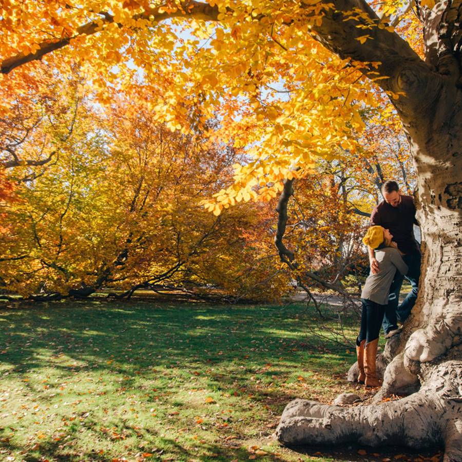 Esta es la dosis mínima de naturaleza para relajarte