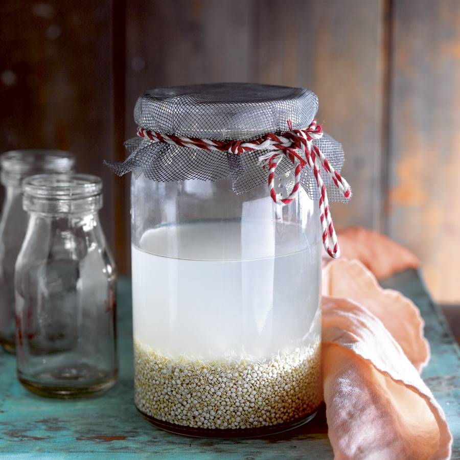 Rejuvelac de quinoa: prepáralo en 3 pasos
