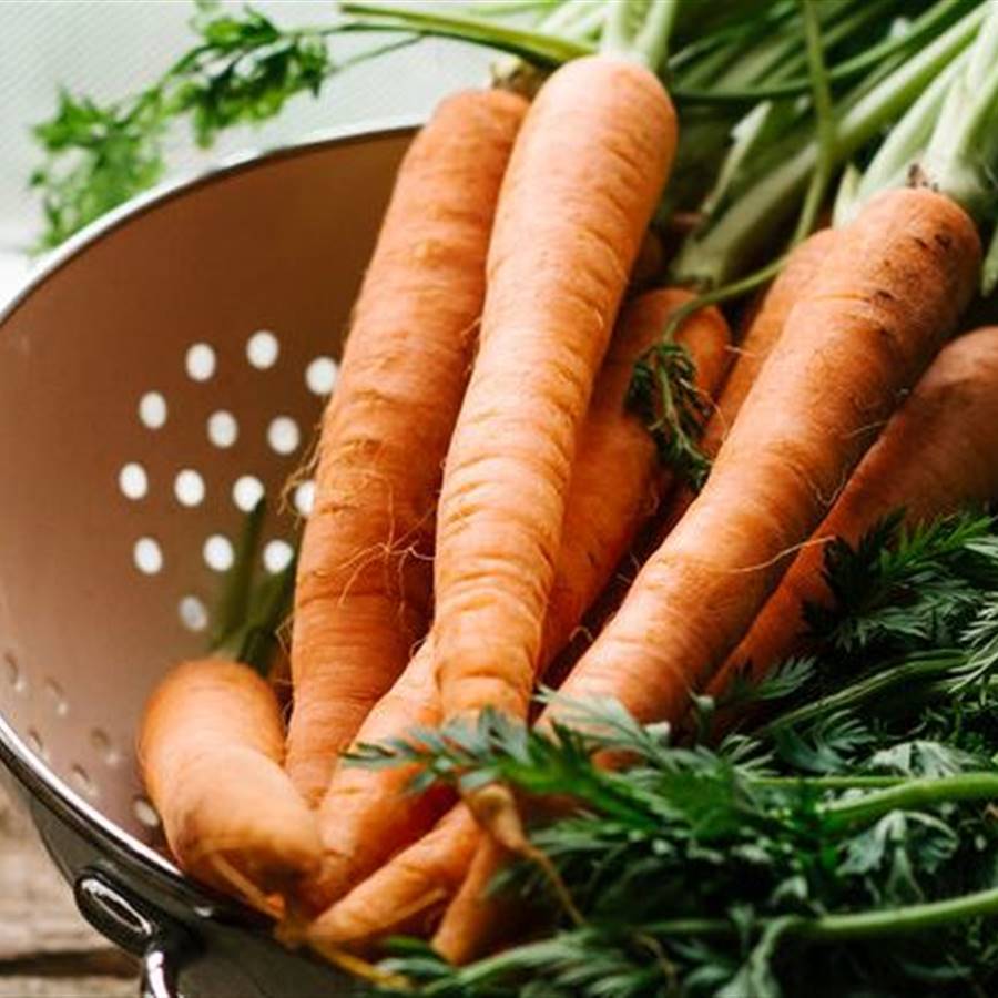 6 alimentos para hacer bien la digestión