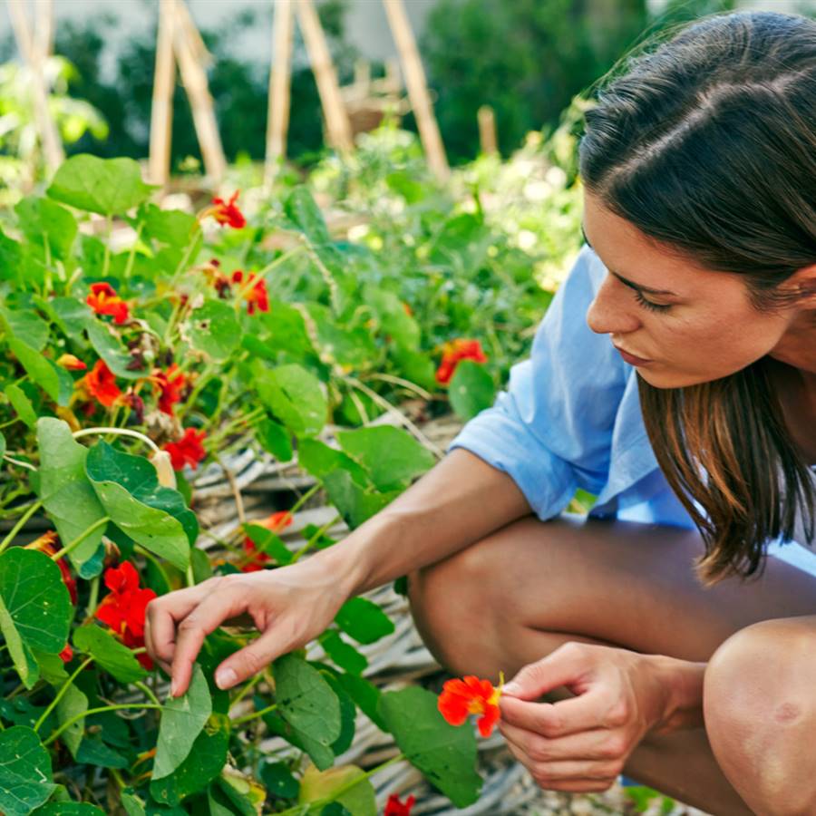 Pesticidas: un riesgo para el desarrollo sexual del futuro bebé