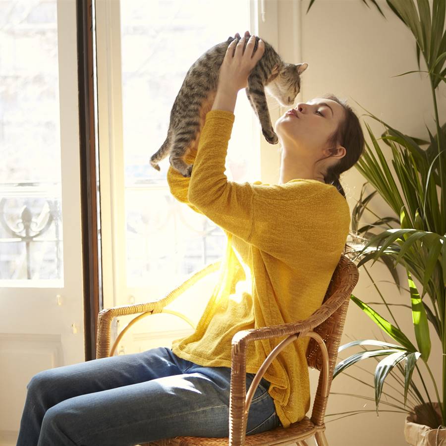Comida y vacunas para perros y gatos, ¿qué alternativas naturales tenemos?