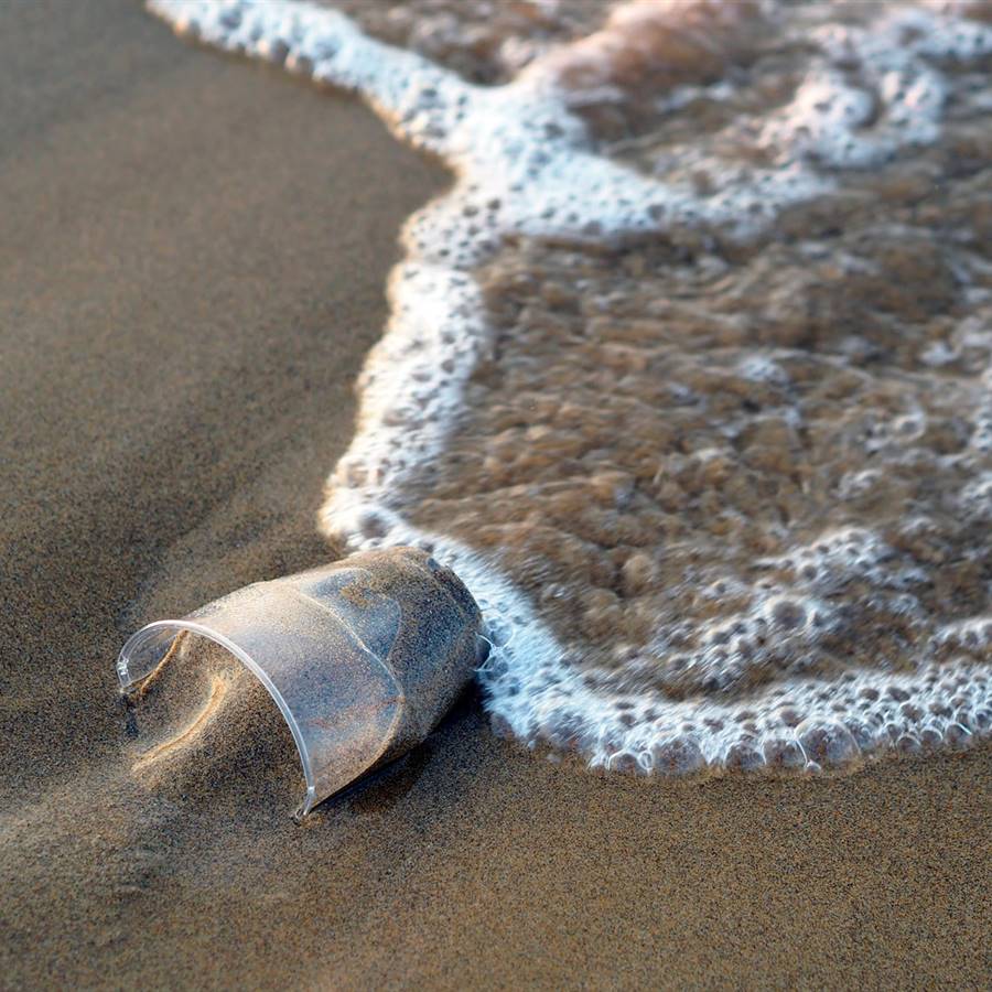 Descubren 81 tóxicos en los plásticos de las playas canarias