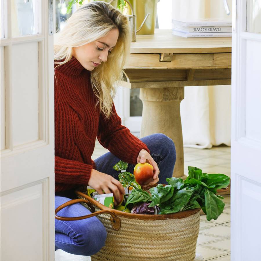 Prebióticos: qué son, qué alimentos los contienen y cuales son su beneficios