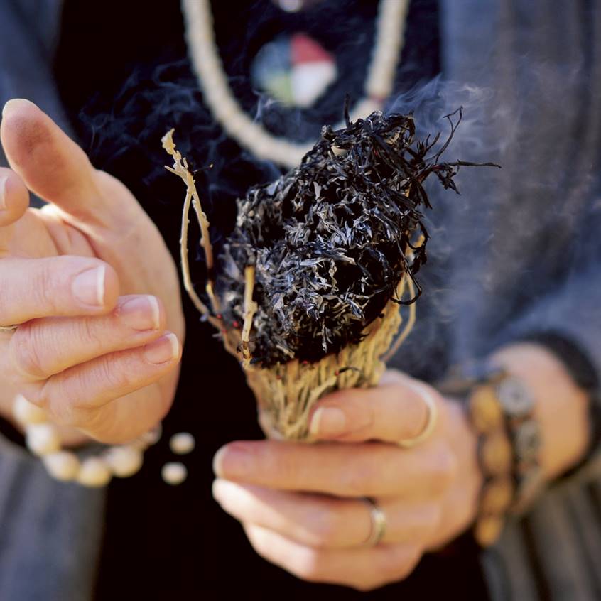 Cómo purificar la casa con salvia