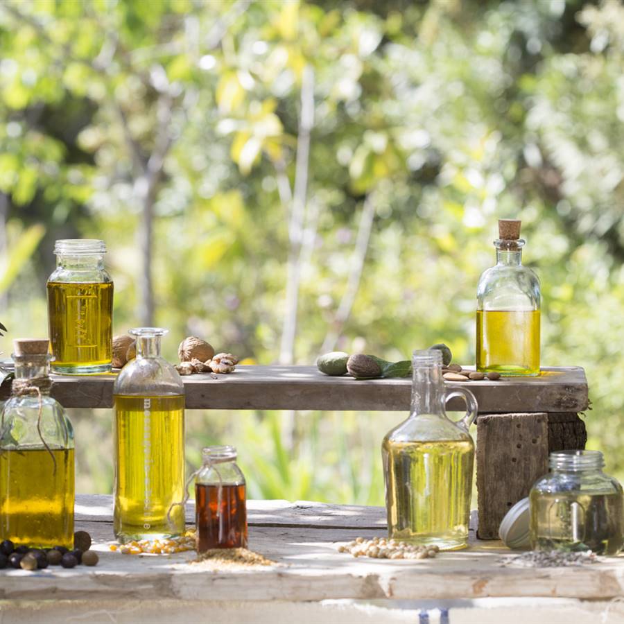 Guía completa del aceite en la cocina: cuál elegir y cómo usarlo