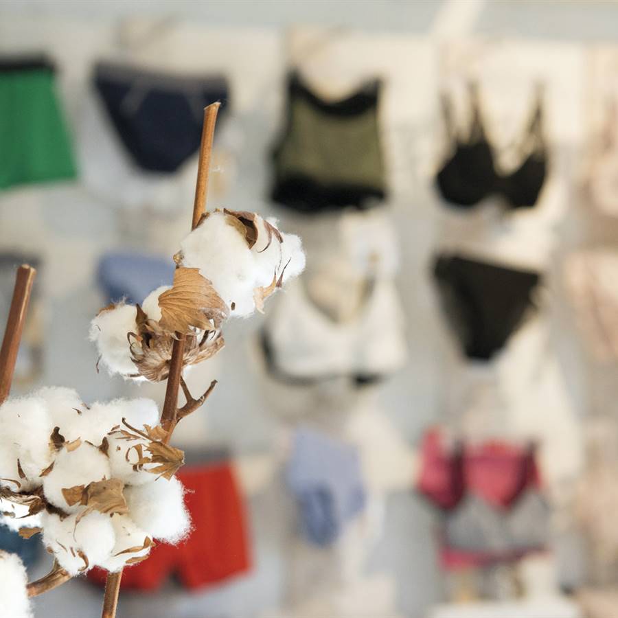"La ropa eco y ética es la próxima revolución"