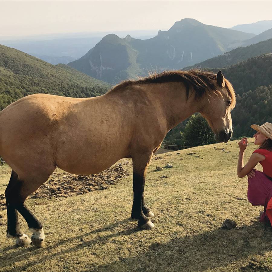 Un santuario de caballos libres