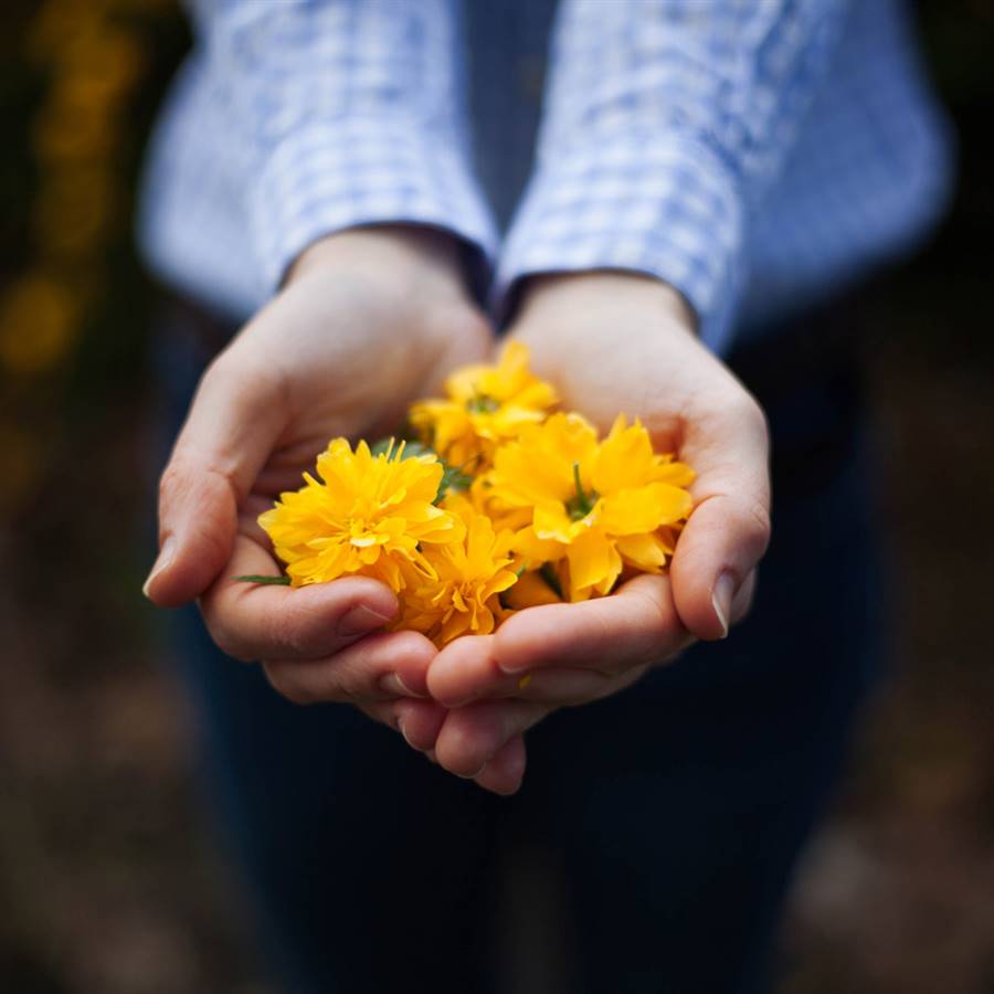 Aprender a vivir con menos: ¿cómo lograrlo?