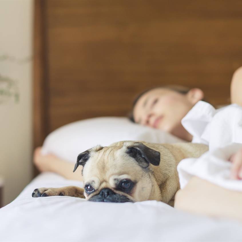 sueño descanso rem no rem