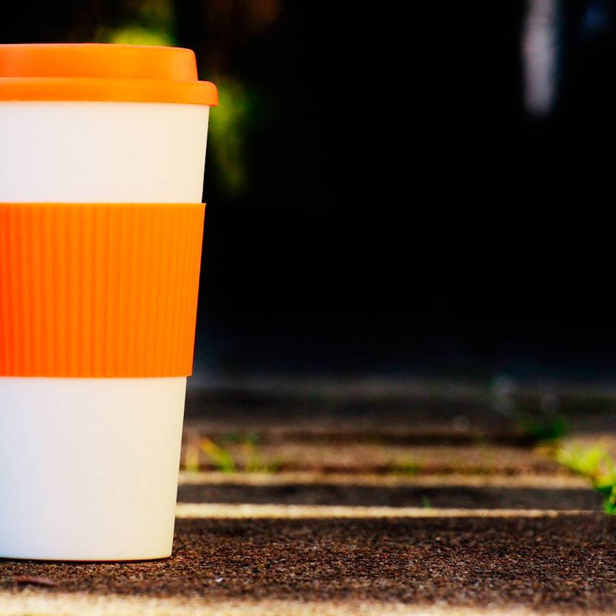 ¿Las tazas y platos de bambú son seguros para la salud?