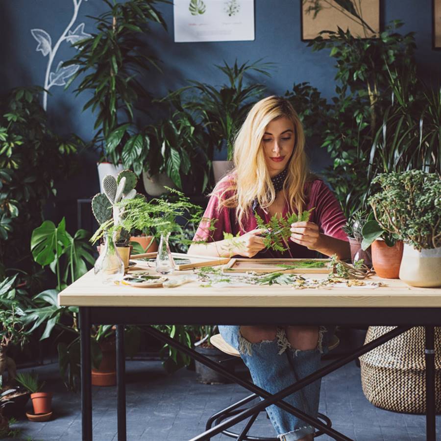 5 tipos de creatividad según la neurociencia