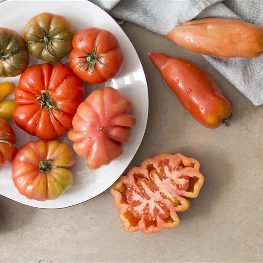 ¡Roja como un tomate! 6 variedades llenas de color