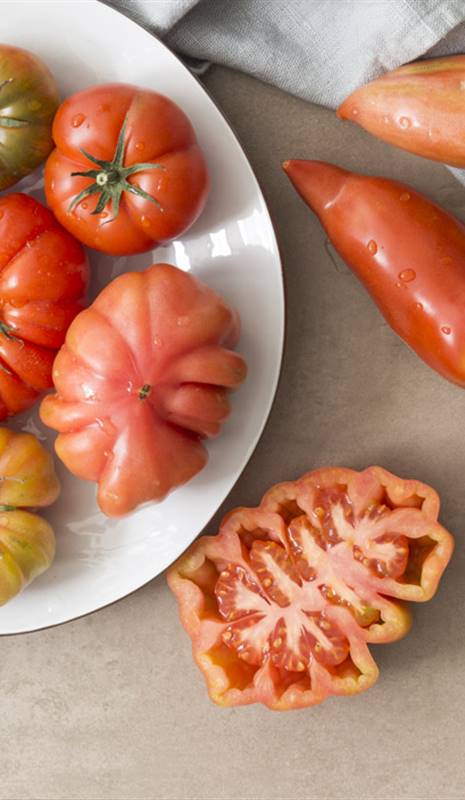 Tipos de tomates