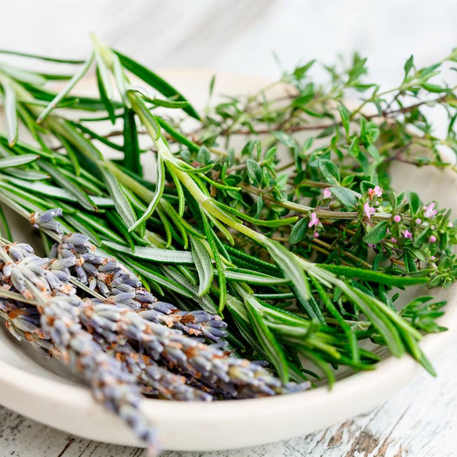 thyme and rosemary