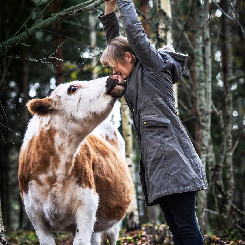 Un proyecto de mujeres en defensa de los animales